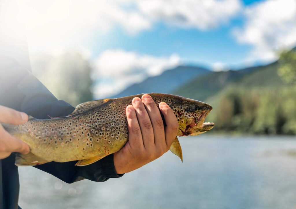 catching trout with fishing beads